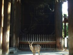 鹿鳴く奈良で 仏像を