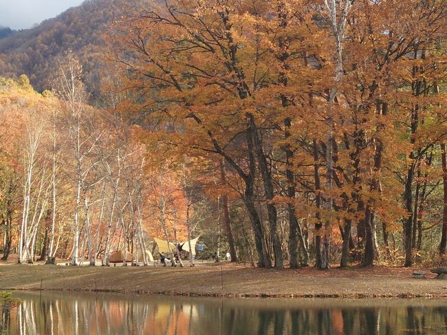 紅葉の美しいキャンプ場ということで、時期を狙って予定をたてたのですが・・・、ちょっと出遅れ感がありました（涙）<br />アウトドアショップのＷＩＬＤ　１が経営するキャンプ場で、サイトは独立した広々サイト。<br />晩秋の静かなキャンプ場で、ゆったりとした家族の時間を過ごすことができました。