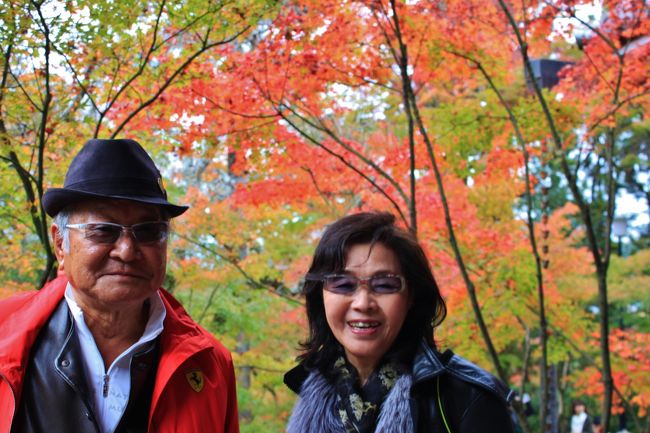 大阪在住の両親、ヨシヒロちゃん＆スーミン。激混みシーズンの京都になんて、フツウ行きたがりませんよ。<br />私だって行きたいわけじゃない。<br /><br />でも関東暮らしの私がわざわざ帰ってきて「ここと、ここと、ここに行きたいねん♪」と旅のしおりを見せたら・・・<br /><br />「しょうがないな〜」と言いつつ車で連れてってくれます。<br />新しいカタチの親孝行ってことで。<br /><br />京都市内は激混みが予想されるため、金曜日（仕方なく）有給休暇を取って木曜日仕事が終わってからダッシュで飛行機で大阪に帰りました。<br /><br />金曜日は激混みの京都市街エリアの『南禅寺』『永観堂』（こちらは一週間後がピークな感じ）<br />土曜日は空いている京都府園部市や亀岡市エリア（こちらは一週間前がピークなかんじ）を回りたいと思います。<br /><br />☆真面目なスーミン、ちょっと冗談言ったら、大爆笑♪の写真をトップにしました☆<br />