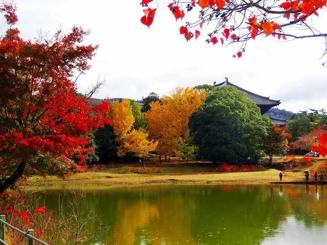 奈良旅行２日目：大仏池