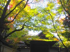 京都　紅葉下見散歩～真如堂・大徳寺～2015