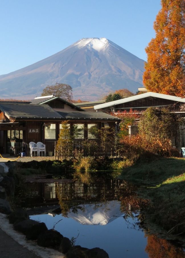 忍野八海の紹介です<br /><br />　かって現在の忍野村は湖でした。富士山の噴火活動を何度も経て、徐々に富士の裾野と御坂山系との峡間が、水蝕・掘削・排水されて、長い期間の後ついに湖が涸れました。そして残ったのが、富士山の伏流水を水源とする、湧水池の代表「忍野八海」でした。<br />　室町時代には、この湧水池のいくつかは、富士修験者の水行の霊場になりました。しかしその後江戸時代末期まで、この地は忘れ去られ荒廃していました。<br />　江戸時代末期の1843年に、市川大門の長百姓大寄友右衛門が、天保の飢饉で苦しむ忍野村忍草の民衆を救うために、富士山からの湧水による池を禊池にしようと八つの池を選び、八大竜王を祀りました。霊場忍野八海が再興され、富士登拝を行う富士講信者の巡礼地となりました。<br /><br />出口池（一番霊場、祭神；難陀竜王）<br /><br />　忍野八海の中で最も大きな霊水の池です。忍野八海の中でこの池だけが離れた場所にあり、他の池が北斗七星を表すのに対して、北極星を意味しているとされています。溶岩塊の下より湧水があり桂川の水源の一つとなっています。<br /><br />お釜池（二番霊場、祭神；跋難陀竜王）<br /><br />　小さくとも、豊富な水量を誇る池です。釜中に熱湯が沸騰するように湧水するという形状からこの名が付いたといわれています。バイカモが清流に揺れる風景を見ることができます。<br /><br />底抜池（三番霊場、祭神；娑加羅竜王）<br /><br />　洗物が消えると云う伝説がある池です。榛の木資料館（有料）の中にあり、忍野八海の中では一番古い風景を保っています。お釜池と底抜池は地底で水脈が繋がっているといわれています。<br /><br />銚子池（四番霊場、祭神；和脩吉竜王）<br /><br />　縁結びの池と伝えられる池です。酒を注ぐ銚子の形からこの名が付けられたといわれています。池の底から砂を巻き上げて水が湧いているのが見えます。<br /><br />湧池（五番霊場、祭神；徳叉迦竜王）<br /><br />　忍野八海一の湧水量と景観を誇る池です。忍野八海を代表する池で、珪藻土からなる水中洞窟からの湧水量は豊富で、セキショウモを揺らしています。1983年にはNASAが宇宙で雪を作る実験にこの湧池の水が使用しました。<br /><br />濁池（六番霊場、祭神；阿那婆達多竜王）<br /><br />　一杯の水を断り濁ったといわれる池です。湧池に隣接し、阿原川に注いでいる景観は美しいです。みすぼらしい行者が一杯の水を求めて断られ、池の水が濁ってしまったという伝説があります。<br /><br />鏡池（七番霊場、祭神；摩那斯竜王）<br /><br />　水面に富士山を映す池です。富士山の姿が鏡のように映るので鏡池と呼ばれています。古く「このしろ池」とも呼ばれていました。この池にはすべての事の善悪を見分けるという伝説があります。<br /><br />菖蒲池（八番霊場、祭神；優鉢羅竜王）<br /><br />　菖蒲にまつわる美しい伝説が残る池です。キショウブが自生しており、初夏には美しい花を咲かせます。石碑超えに霊峰富士の美しい景色を見ることができます。