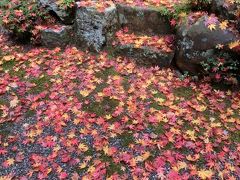 紅葉の華厳寺と即身仏(ミイラ)がある横蔵寺、最後にダムカード初ゲット♪のたび