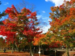 奈良旅行２日目：二月堂から春日大社までの紅葉