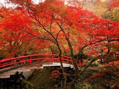 群馬温泉旅：伊香保温泉編