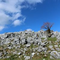 久しぶりの民宿・つながり深まる・四国カルストへ。