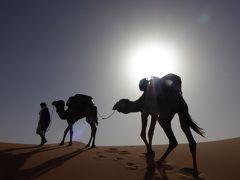 モロッコの砂漠をラクダに揺られて(カサブランカ~マラケシュ~ワルザザード~メルズーガ~フェス~シャウエン~カサブランカ