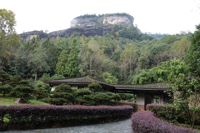 雨・雨・茶・茶・茶☆武夷山で早寝早起き早飯の旅〈再び武夷宮景区・万春園＆大王峰〉