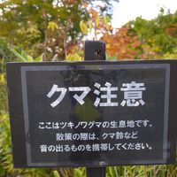 東北の紅葉を求めて運転へたやのに、レンタカー借りてドライブしてきました　②秋田県の巻