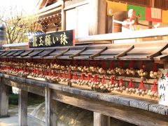 旅するイルカ♪　紅葉狩り　奈良県いろいろ巡りへ　