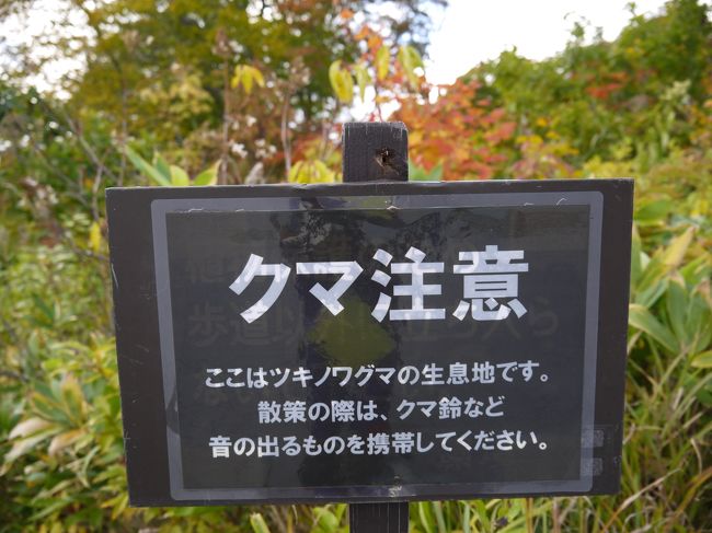 東北の紅葉を見に行こうということで<br />大阪から成田へ飛んで、成田からレンタカー借りて周遊してきました。<br /><br />車の運転は正直苦手。<br />免許も身元確認書類の一部でしか取得してないのに<br />なんでか運転要員の一人にされていて、<br />オートマでもバックがBだと思って<br />エレガンス「え?下がれへんで」<br />友達「お~い。バックはRや」<br />エレガンス「バックはBやろ・・・」<br />車線変更もままならずなそんなヒヤヒヤドライブ旅行でした。<br /><br />今回の予定はまったくノータッチ。<br />こんな距離走る??的なドライブ旅行記です。<br /><br />1日目 走行距離 379km<br />2日目 走行距離 449km ←ここの日記です<br />3日目 走行距離 424km<br />4日目 走行距離 337km