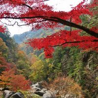 錦秋の甲斐路を放蕩～昇仙峡を歩き、下部温泉に泊まり、ワインタクシーでワイナリー巡り