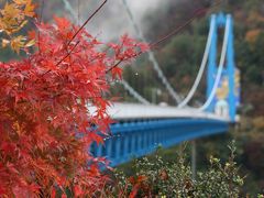 日帰りバスで紅葉狩り「茨城」