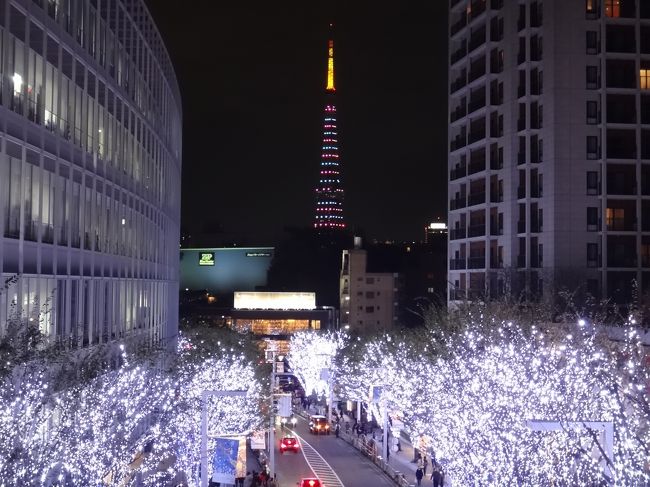 のんびり な朝は ザ リッツ カールトン東京 でモーニング グランド ハイアット 東京 で六本木ヒルズクリニックのレストラン バウチャーを使用してランチ 六本木ヒルズ イルミ 展望台からの夜景 プロジェクションマッピング プラネタリウムは70分待ち