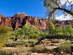 久々のZionへ。Zion National Park編