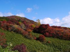 東北の紅葉を求めて運転へたやのに、レンタカー借りてドライブしてきました　④成田までと関西空港へ帰るの巻