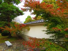 京都の紅葉も見ごろ、東山周辺をブラブラして来ました