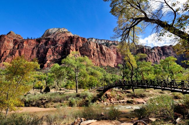 久しぶりにZion National Parkへ行って来ました。この時期は秋から冬へと移り変わる頃ですが、天気の良い昼間は比較的暖かく薄めの上着でも十分でした。天候にも恵まれ雨が降ったのは滞在中ほんの数時間でした。Zionを訪れるにあたりBryceやArchesも周ろうと思いましたが雪が降りだし道路状況が微妙になりそうなので今回は比較的暖かく、標高の低い場所を巡る事にしました。移動はレンタカー、訪れた場所はValley of Fire State Park, Zion National Park, Love Antelope Canyon, Hourseshoe Bend, そしてちょっぴりLas Vegas。　Las Vegasからはそのままレンタカーにてロサンゼルスまで移動。以前住んでいたRedondo Beachを訪ねました。そう移動距離は1000マイルちょっとでした。<br /><br />交通<br />---成田からLAXまではシンガポール航空を利用。そこからバージンアメリカへ乗り換えLas Vegasまで飛びました。エコノミーなので特に過剰な期待もなく時間通りに目的地へ到着してくれれば的な感覚で搭乗しました。A380は数年前のルフトハンザに続き２度目の搭乗でした。この路線で使用されている機材ではエコノミーは基本的に１階で窓■■■通路■■■■通路■■■窓の座席配置になってるようです。巨大な機材だからと言って特に個人スペースが広いということもありませんでした。個人モニターは大きめ、非タッチパネル、画質はクリア、画面横にＵＳＢ等が備えられているので電話等の充電も可能です。フットレストも装備されていますがある程度の伸長（自分は１７６センチ）の人であればフットレストを使用すると逆に足元が窮屈になるのでは？と思います。サービスは評判通りで快適なフライトでした。おしぼりの提供は２回、食事も美味しく、スナック等のセレクションもフルーツ、サンドウィッチ、ヨーグルト等と多彩、靴下と歯ブラシの入ったポーチの提供もあり、さすが！と思わせるものでした。　アメリカに到着してからの移動は基本レンタカーでLas Vegasの空港で借り、LAXで返却しました。<br /><br />両替<br />---＄１＝約125円<br /><br />乗り継ぎ<br />---LAXにて入国・通関。LAXの国際線ターミナルは改築が行われ綺麗で広々したターミナルへと変貌していました。入国する際、以前ESTAにて入国した事がある乗客に対してはKioskが促されました。税関申告書での質問事項等をKiosk上で入力し、指紋の採取や写真撮影もされ手続きが終わるとレシートが出てくるので、それを持って入国審査官のブースへと進みました。以前より入国にかかる時間が短縮されていたような気がします。LAXに到着し降機すると、シンガポール航空の現地係員が待機しており、乗り継ぎ時間が短い乗客に対してExpress Connectionの紙を提供していました。自分も乗り継ぎ時間が短めだったのでこれをもらっておきました。入国後の税関チェックの際、この紙を持っていると優先して列を進めるので、乗り継ぎ時間が短い場合、かなり重要なアイテムになりそうです。無事に入国・通関の手続きをし、その先にある乗り継ぎカウンターで荷物を預け（日本を出発する際に、最終目的地までのバゲージタグをつけてもらうとこのカウンターでそのまま荷物を再預けする事が出来ます。）徒歩にて隣のターミナル（ターミナル3）へ移動しました。<br /><br />ホテル<br />---Courtyard by Marriott Las Vegas Convention Center-ストリップ沿いのホテルはリゾート料なる謎の料金が課金されるので、それのかからないこのホテルをチョイス。モノレールの駅の目の前なのでストリップまでもそれを使い簡単にアクセスが可能でした。部屋は広め、シャワーの水量も十分、インルームセーフは無料、Wifiは無料、駐車場も無料でした。<br />---Zion Lodge-国立公園の中に位置するホテルなので料金は高め。部屋は広め、シャワーの水量も十分、インルームセーフは無料、Wifiは無料、駐車場も無料でした。電子レンジも完備されていました。予約後に車につける赤いタグが送付されてくるので、それを車につけて入園します。訪れた時は既にオフシーズンになっていたので問題ありませんでしたが、オンシーズンにはこの赤いタグを付けておかないとホテルの位置する場所まで自分の車では入園出来ないそうです。フロントがある建物と客室は別棟で、駐車場は客室から少し離れているので多少歩く必要があります。また日没後はかなり暗いので明るいうちにチェックインするか、懐中電灯があると便利でしょう。自分は携帯のライトで照らしながら歩きました。部屋には小さなバルコニーが備えられ、ロッキングチェアーと小さなテーブルが置いてあります。そこでの寛ぐ時間は最高のリラックスでした。ホテルの敷地には朝夕、野生の動物が出現します。自分が訪れた際は七面鳥や鹿が現れました。またホテルの敷地内から見る星空には言葉が出ませんでした。天の川までばっちり見えましたよ。ホテルの中にレストランやカフェも併設されていますが、それ以外で食事したい場合は車で10分程の距離にあるSparingdaleと言う町にレストランやスーパーがあります。<br />---Hamptoin Inn Las Vegas Tropicana-Tropicana Ave沿いに位置し、ストリップまで無料のシャトルが１時間おきに出ています。このホテルもリゾート料は課金されません。部屋は広め、シャワーの水量も十分、Wifiは無料、駐車場も無料でした。提供される朝ごはんもフルーツ、ヨーグルト、シリアル、卵、パン類と十分です。ストリップ沿いの“絶対にこのホテルに泊まりたい！”ということがなければこのHampton InnやCourtyardはかなり利用価値が大きく、経済的かと思われます。<br />---Best Western PLUS Redondo Beach-メインの道路沿いに位置し、どこへ行くのも便利な立地でした。提供される朝ごはんもフルーツ、ヨーグルト、シリアル、卵、パン類と十分です。部屋は広め、シャワーの水量も十分、Wifiは無料、駐車場も無料でした。フロントでスケールも借りられるので、旅の最終日にスーツケースの重さを図るのにも便利でした。<br /><br />治安<br />---Las Vegas-ストリップ沿いにいる限りは良好。かなり遅い時間まで人混みが絶えません。といっても眠らないギャンブルの街、最低限の注意は必要でしょう。またストリップ沿い離れた場所には暗くなってから近づくのは避けた方がいいと思われます。<br />---Zion-良好でしょう。日没後は真っ暗なので懐中電灯があると便利です。<br />---Redondo Beach-比較的良好ですが、車を駐車する際は暗い場所は避ける、辺りを見回す等の注意は必要でしょう。<br /><br />物価<br />---Las Vegas-高いです！以前はもっと安い（特に食べ物）イメージがあったのですが・・・<br />---Zion-高めです。<br />---Redondo Beach-安い物から超高級までいろいろ揃っています。<br /><br />Ｗｉｆｉ<br />---Las Vegas-メインの場所やショッピングモール内にはフリーのWifiがありました。<br />---Zion-ホテルやレストランではフリーのWifiがありました。<br />---Redondo Beach-メインの場所やショッピングモール内にはフリーのWifiがありました。