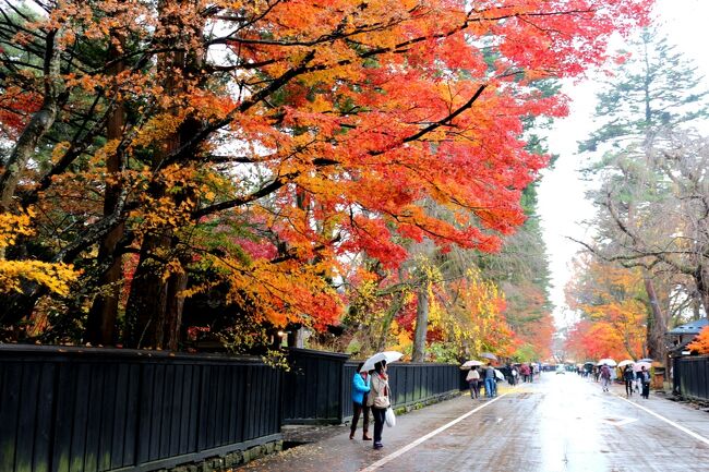 【表紙の写真】角館武家屋敷通りの紅葉<br /><br />2015年晩秋の東北紅葉の旅<br />岩手・平泉で紅葉を楽しんだのち、<br />一路、武家屋敷の街並みで有名な秋田の角館へ向かいました<br />※2020年発売の最新版にも「武家屋敷群　20億円 １％」で登場<br />さらに公式WEBにも↓紹介されてます<br />https://www.konami.com/games/momotetsu/teiban/meguri/area02.html#contents<br /><br /><br />★2015秋の東北紅葉狩りシリーズ<br />【1/3】世界遺産「平泉」 リアル桃鉄物件にも<br />　http://4travel.jp/travelogue/11077860<br />【2/3】桃鉄物件を求め　焼きそばとかまくらの街「横手」<br />　http://4travel.jp/travelogue/11077862<br />【3/3】武家屋敷の街並み・陸奥の小京都「角館」　ここにもリアル桃鉄物件<br />　☆☆☆この旅行記☆☆☆