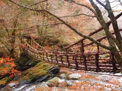 秋登山その2　～奥祖谷かずら橋を渡るぞ～