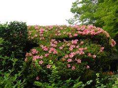 『詩仙堂』でサツキ等の春のお花鑑賞（京都市左京区一乗寺）