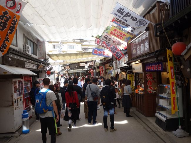 宮島は清盛通りがメインストリート。みやげ物店にレストラン。外国人もたくさん歩いていました。とってもにぎやかで驚きました。