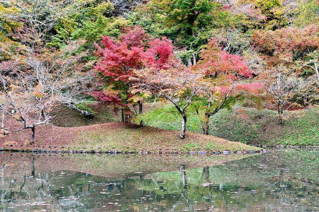 　岡城で紅葉を鑑賞した後は、同じく紅葉の名所として名高い用作（ゆうじゃく）公園へ。<br />　そして翌日雨の中、長湯温泉、由布院温泉を経由して帰宅します。