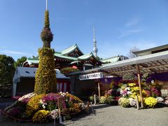 秋の亀戸天神「菊まつり」♪