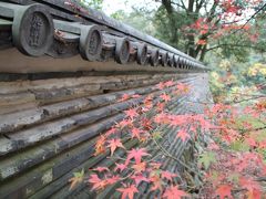 国宝のある虎渓山永保寺の紅葉