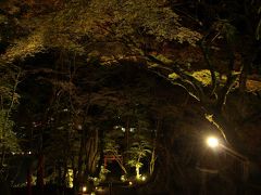 【紅葉を求めて：2015】　談山神社のライトアップ