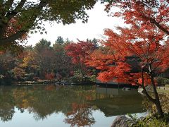 満開の紅葉　　　IN　　昭和記念公園　　　パート　−−１