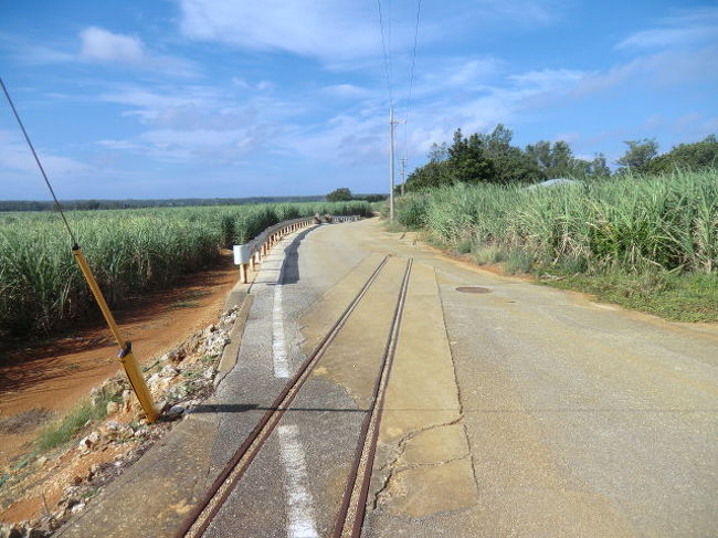 tanuさん「大東島って鉄道走っていたんだよ・・」とある日、職場の先輩の言葉。鉄道と言っても、人を乗せる鉄道ではなくシュガートレインと呼ばれるサトウキビの運搬用鉄道。そんな島が日本にあるなら、ぜひとも一度訪れてみたい～～～。<br /><br />そう思いながらも年月は経過してゆきました。いつか仕事で行けることを夢見ていた南北大東島、もはやその可能性も限りなくゼロに近づいた（定年近くなり、沖縄への勤務もなさそう）ので、台風シーズンをはずした11月に計画しました。<br /><br />東京からの直行便はないし、海外乗り継ぎチケットも使えない・・。那覇からは2泊3日での南北大東島へのパック旅行（航空券＋ホテル）もあるので、それを使おうかと思っていたところ、11月の発売が意外や遅く、那覇までの便だけは先に予約してしまったため、マイルでの特典とノーマルとを組み合わせました。<br /><br />■フライト<br />1　11/14　JAL907　羽田850　那覇1140<br />2　11/14　RAC847　那覇1345　北大東1455<br />3　11/15　RAC836　北大東1520　南大東1535<br />4　11/16　RAC868　南大東1600　那覇1715<br />5　11/16　JAL918　那覇1840　羽田2050<br /><br />1と5は国際線航空券の国内線<br />2と4は特典航空券12,000マイル<br />3はノーマルを購入　8,500円<br /><br />■宿泊<br />11/14　北大東島　民宿二六荘　5,940円（3食付き）　電話予約<br />11/15　南大東島　ホテルよしざと　8,210円（2食付き）　Yahooトラベル予約<br />