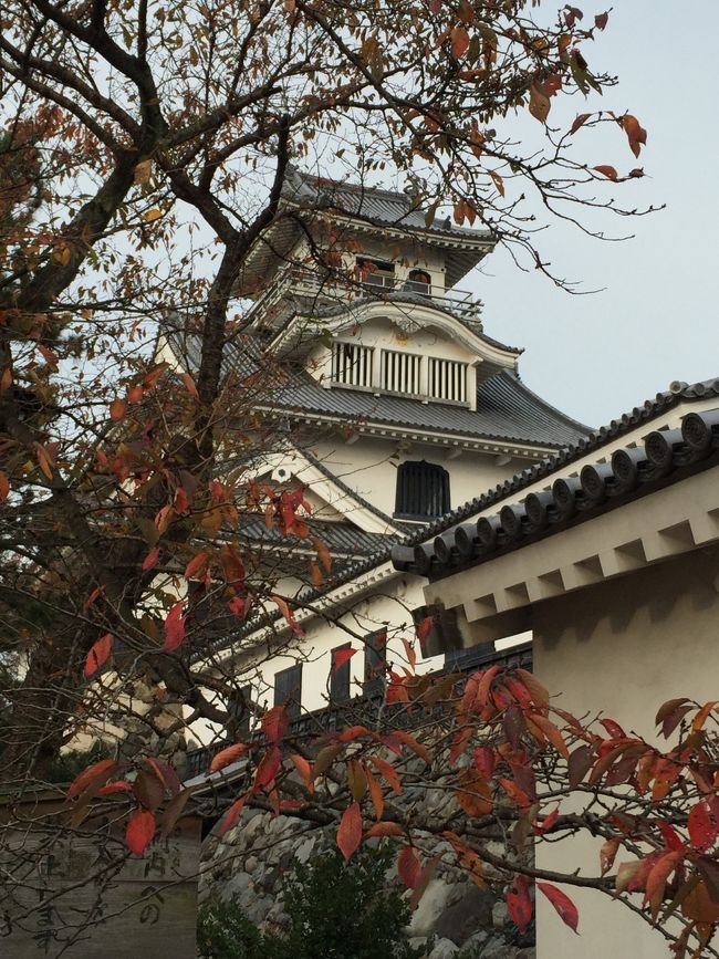 只今旅の途中。鳥取から滋賀の旅。紅葉、琵琶湖と日本の秋探しが目的!