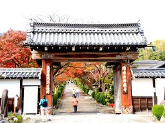 紅葉を求めて滋賀県の日吉大社、西教寺、石山寺へ。　