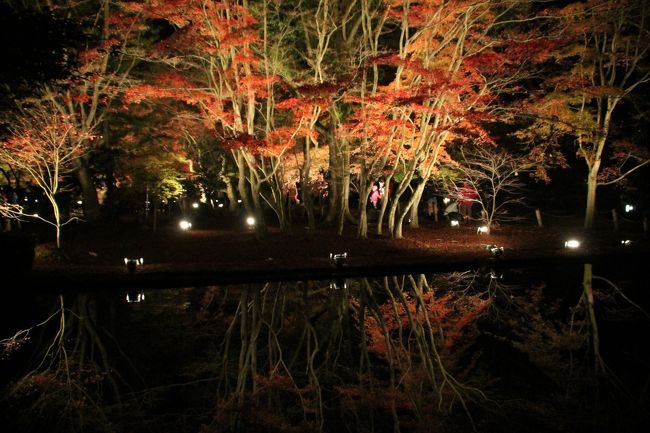 急に「紅葉のライトアップがある曾木公園に行きたい！！」と家内にせがまれ、日中の虎渓山永保寺に続き、土岐市の曾木公園へ紅葉のハシゴヘ。