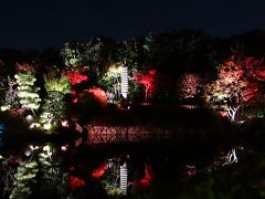 東京散歩2015(目白庭園：2015/11/20～11/29まで夜間ライトアップ中)