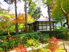 京都の紅葉も見ごろ、東山周辺をブラブラして来ました「続編」