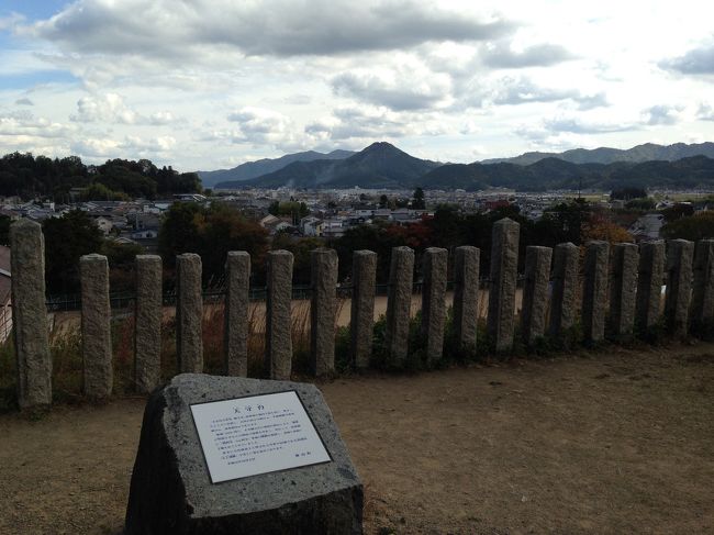 秋晴れのウォーキング日和。<br /><br />八上城跡:9:50八上春日神社-10:10高城山(八上城跡本丸)10:15-藤之木坂道入口<br />10:40- <br /><br /> 駐車場はなく春日神社近くの路肩に路駐する。<br /> 春日神社の高城山登山口入口の平坦部は前田主膳屋敷跡。<br /> 天守の石垣・土塁・曲輪の遺構が確認できる。<br /><br />篠山城跡:10:50篠山川河原駐車場-篠山観光(武家屋敷・篠山城跡・妻入商家群) 12:15-<br /><br /> 妻入商家群でイベントがあり、篠山川の河原が無料の駐車場として開放されていた。町中の駐車場は観光駐車場として有料。<br /> 南側からの本丸の石垣・土塁の馬出の遺構は見応えあり。<br /><br />沢田城:小林寺12:20-沢田城跡-小林寺12:30-<br /><br /> 小林寺の駐車場に停める。無料。<br /> 小林寺の裏山が沢田城跡。<br /> 土塁・曲輪・堀の遺構が確認できる。<br /><br />荒木城跡(細工所城):細工所12:50-13:10荒木城跡-細工所13:25-<br /><br /> 細工所交差点にあるJA篠山の駐車場に停める。交差点付近から城跡の標識が整備されて、迷うことなく登れる。<br /> 土塁・曲輪の遺構が確認できる。<br /><br />13:30福住:国鉄篠山線終着駅福住跡等13:45-<br /><br />籾井城跡:禅昌寺13:50-14:00籾井城跡-禅昌寺14:10-<br /><br /> 禅昌寺の入口の駐車スペースに駐車する。禅昌寺のそばに城跡登り口の標識あり。 福住駅跡前方の籾井川の向うの山が籾井城跡。<br /> 土塁・曲輪の遺構が確認できる。<br /><br />知名度の低い城跡も標識・登山道が整備され登り口の標識を見落とさなければ、道に迷うことなく登れる。<br />城跡も整備されており、遺構がよく確認できる。<br /><br />この季節は丹波の黒豆の収穫期。<br />国道沿いの黒豆畑では刈り取り作業中。道端では販売もしており、刈り取られたばかりの黒豆をお土産として購入する。<br />高速サービスエリアのスイーツでNO,1になった黒豆プリンを求めて販売元の店舗によったが、売り切れで残念な思いになる。が、代わりに黒豆シュークリームを購入する。黒豆プリンに勝るとも劣らない味であった。<br /><br /><br /><br /><br /><br /><br /><br /><br />