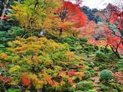 2015紅葉（5） 鮮やかで上品な景勝・湖東三山の一つ　金剛輪寺