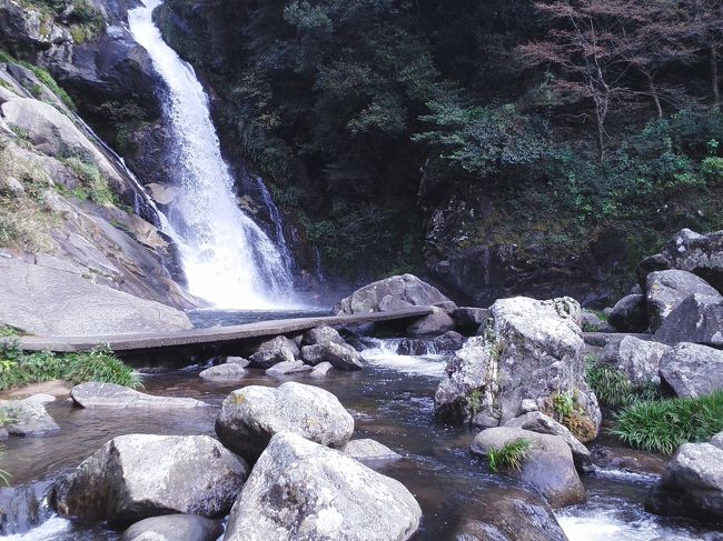 佐賀県唐津市にある天山県立自然公園内あり日本の滝百選に選ばれた九州一の落差100mを誇る「見帰りの滝」で水の流れが多い右側を男滝、水の流れが少ない左側を女滝と言います。あじさい橋から渓流の下流沿いに遊歩道が設けられていて遊歩道入り口から渓流を見ながらアップダウンの道を歩きながら見帰りの滝に行けます。<br />滝のすぐ近くまで車で行くことが出来ますが出来たら遊歩道から行かれたほうがいいです。<br />この見帰りの滝は紫陽花の名所としてたくさんの観光客が訪れている。下流沿いに町民の人によって植えられた40種4万株の紫陽花が６月には可憐な花を咲かせ「あじさい祭り」が開催されます<br />６月中旬?7月上旬まで
