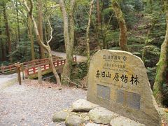 奈良奥山を歩く