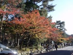 １５年　秋の東山を歩く