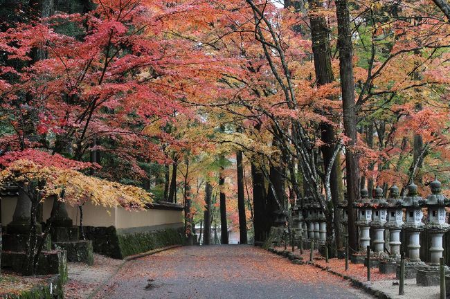 三原市近郊にある紅葉の名所、佛通寺(11月9日)、三景園(11月10日)そして、御調八幡宮(11月10日、20日)を巡る旅<br /><br />表紙の写真は、佛通寺の参道<br />