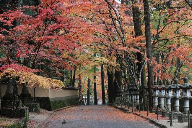 三原近郊の紅葉 2015