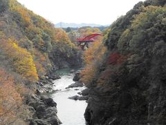 東武特急で行く、紅葉のわたらせ渓谷