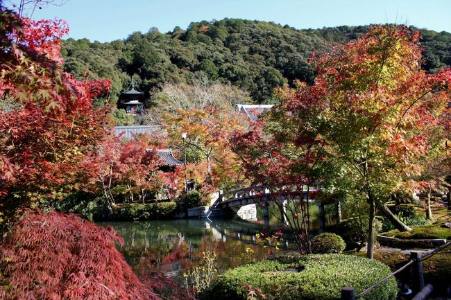 ２０１５秋の京都日帰り旅行