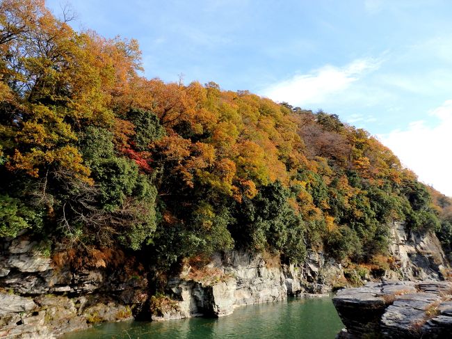 天気の良かった3連休初日。夫は仕事になってしまったけれど、紅葉を見に出かけたい。せっかく天気も良いから、少し遠いけど長瀞まで行ってみよう～！と娘と2人で、日帰り旅に出掛けました♪<br /><br />紅葉が見頃、観光客でいっぱいの長瀞駅に到着した後は、人気の阿左美冷蔵でかき氷を食べ、宝登山神社へお参り。名勝天然記念物の岩畳は、紅葉を見ながら上流に向かってプチハイキング。月の石もみじ公園まで歩き、紅葉がライトアップされる時間を待って、幻想的な紅葉を楽しみました♪<br />写真が多くなってしまったので、前編と後編に分けて旅行記を作成します。<br /><br />こちらの前編では、阿佐美冷蔵・宝登山神社・岩畳のハイキングの様子をお伝えします。<br />よろしければ、ご覧ください～。<br />