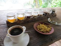 バリ島を女一人で行ってみたら　その４　バリ島のコーヒー園バリプリナとテガララン