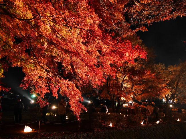 11月の3連休、初日は天気が良さそうですが、渋滞の中を運転するのは嫌だなと思い急遽バスツアーを探したところ、以前から一度行ってみたいと思っていた昇仙峡と河口湖もみじ回廊を両方周るツアーがあったので、出発1週間前に申し込みました。<br /><br />10時半に東京を出発しましたが渋滞で到着はかなり遅れ、2時過ぎに昇仙峡に着きました。<br /><br />到着後ほうとう鍋の昼食をとりましたが、思った以上に美味しくありませんでした。<br /><br />仙娥滝や石門を散策した後、影絵の森美術館にも入りました。<br /><br />天鼓林の辺りも紅葉は終わっていて、天気も曇ってしまい期待していた昇仙峡はガッカリでした。<br /><br />その後、河口湖もみじ回廊のライトアップを見学し、こちらは反対に期待してませんでしたが、美しいライトアップが見れてとても満足でした。