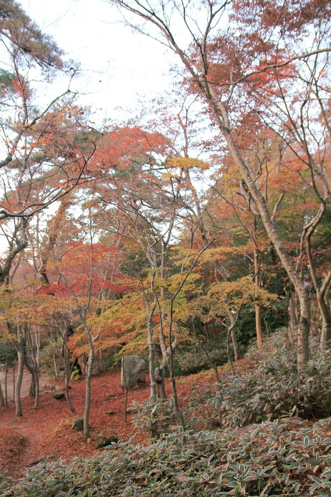 兵庫県神戸市北区有馬町　有馬温泉には何回か行っているけど、瑞宝寺公園って？はてさて？行ったことがあるかどうだかわからなかったので、行ってみました。